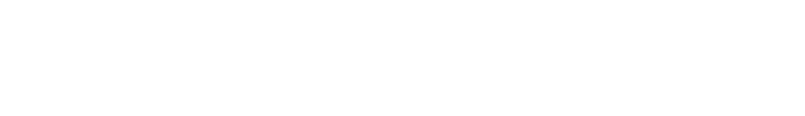 CLEANERSI
